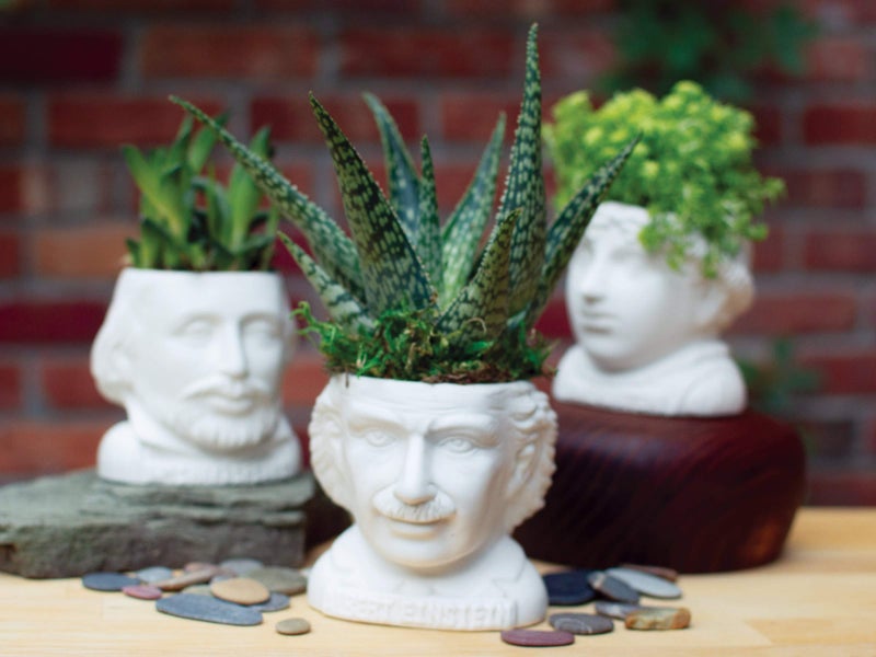 The Unemployed Philosophers Guild Albert Einstein Bust Ceramic Planter - Image 5
